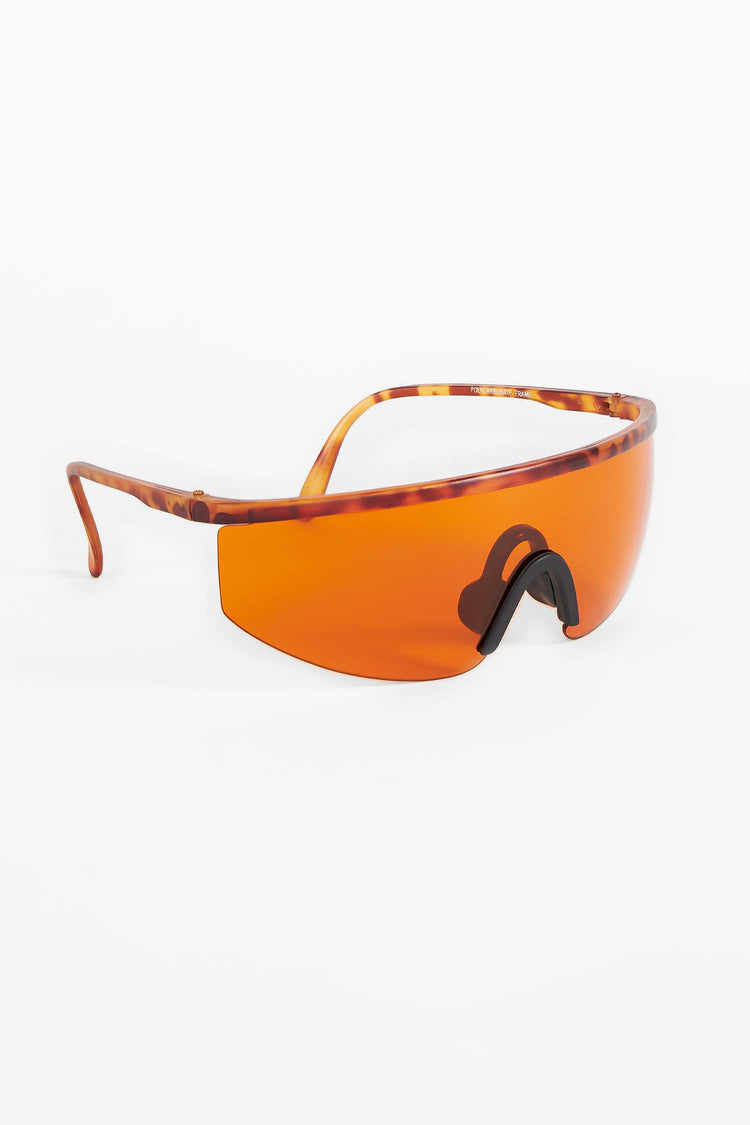 Tortoise