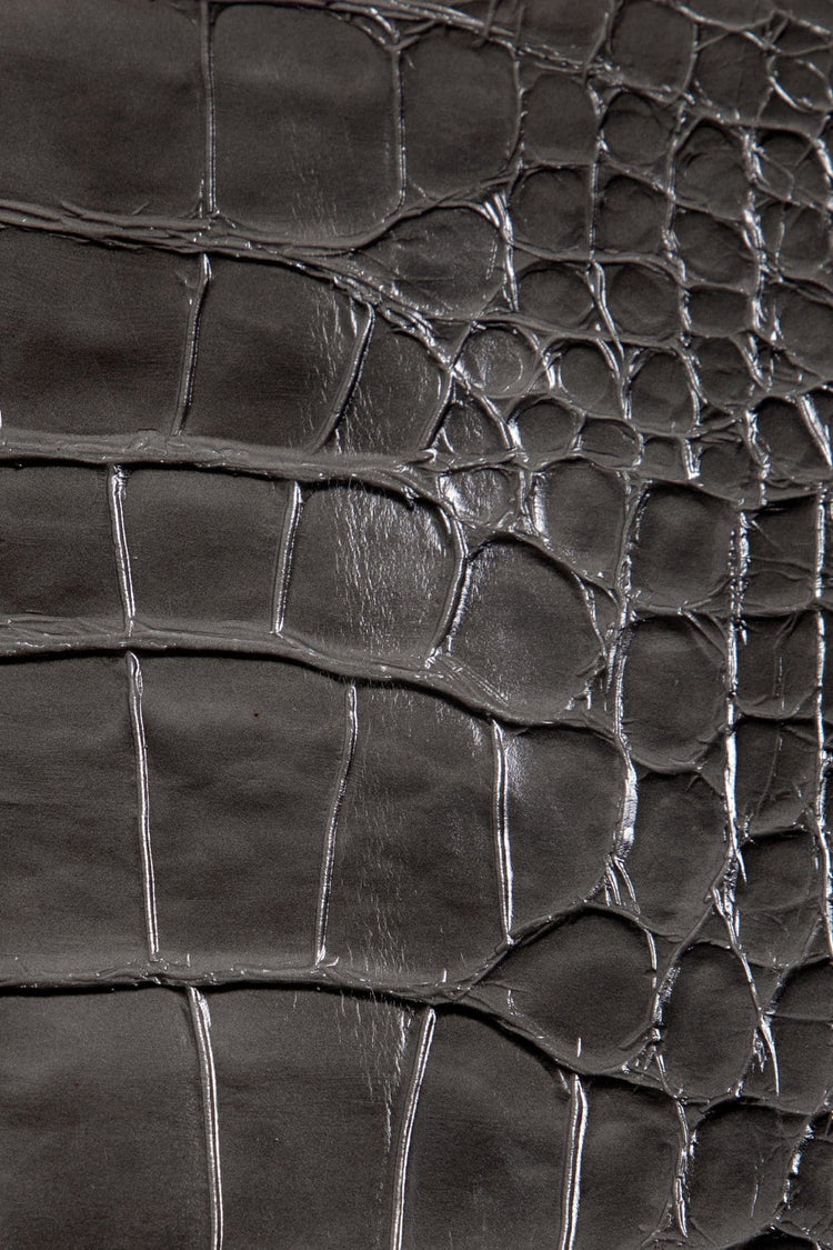 Grey Crocodile