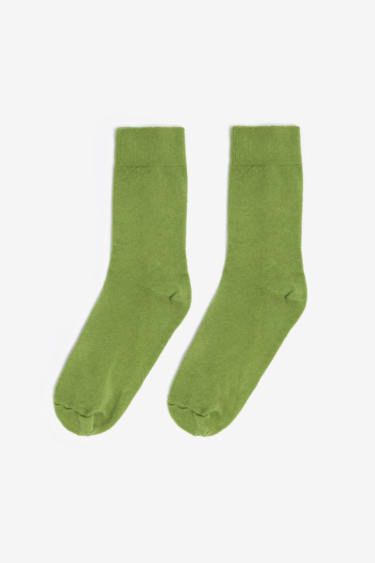 Celery Green