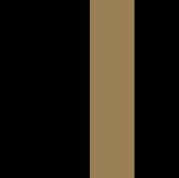 black/bronze