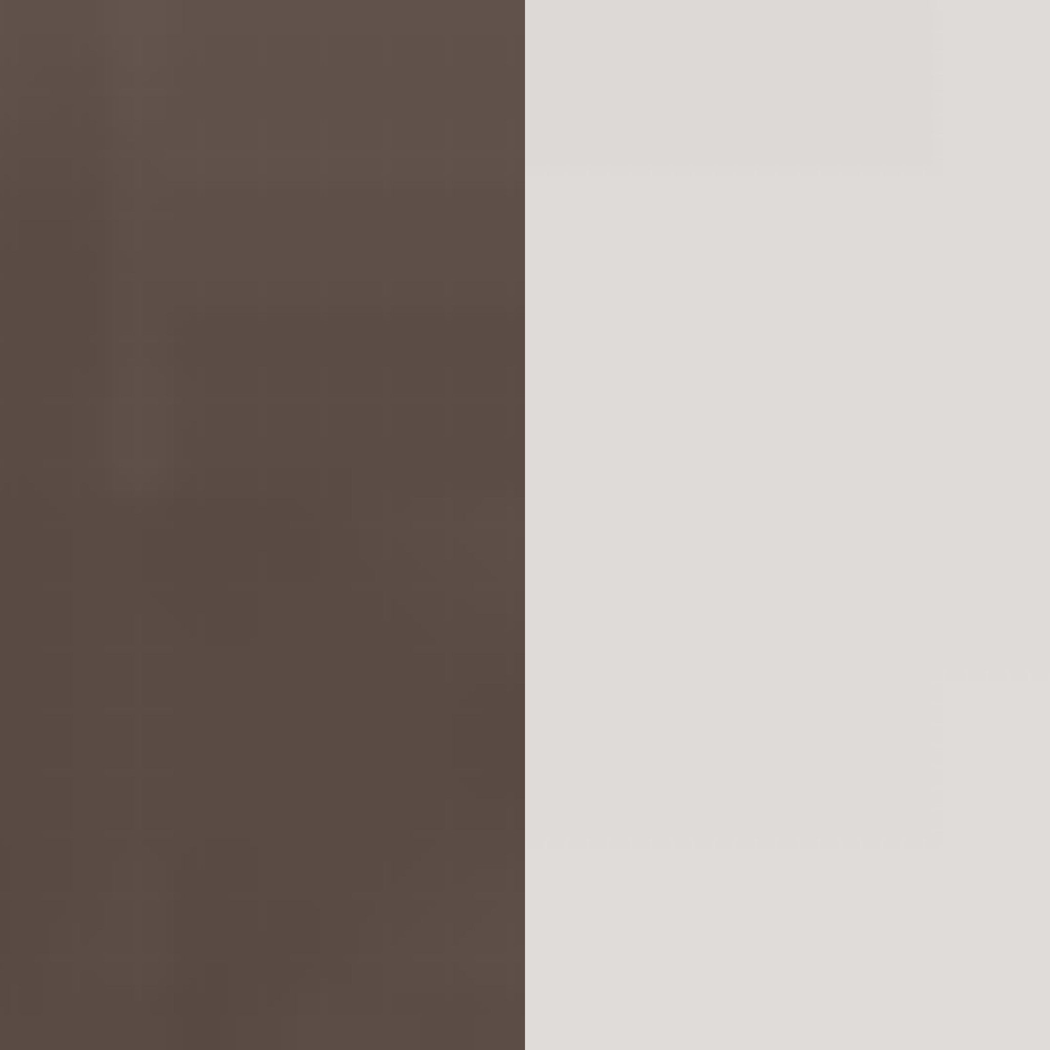 bronze/clear