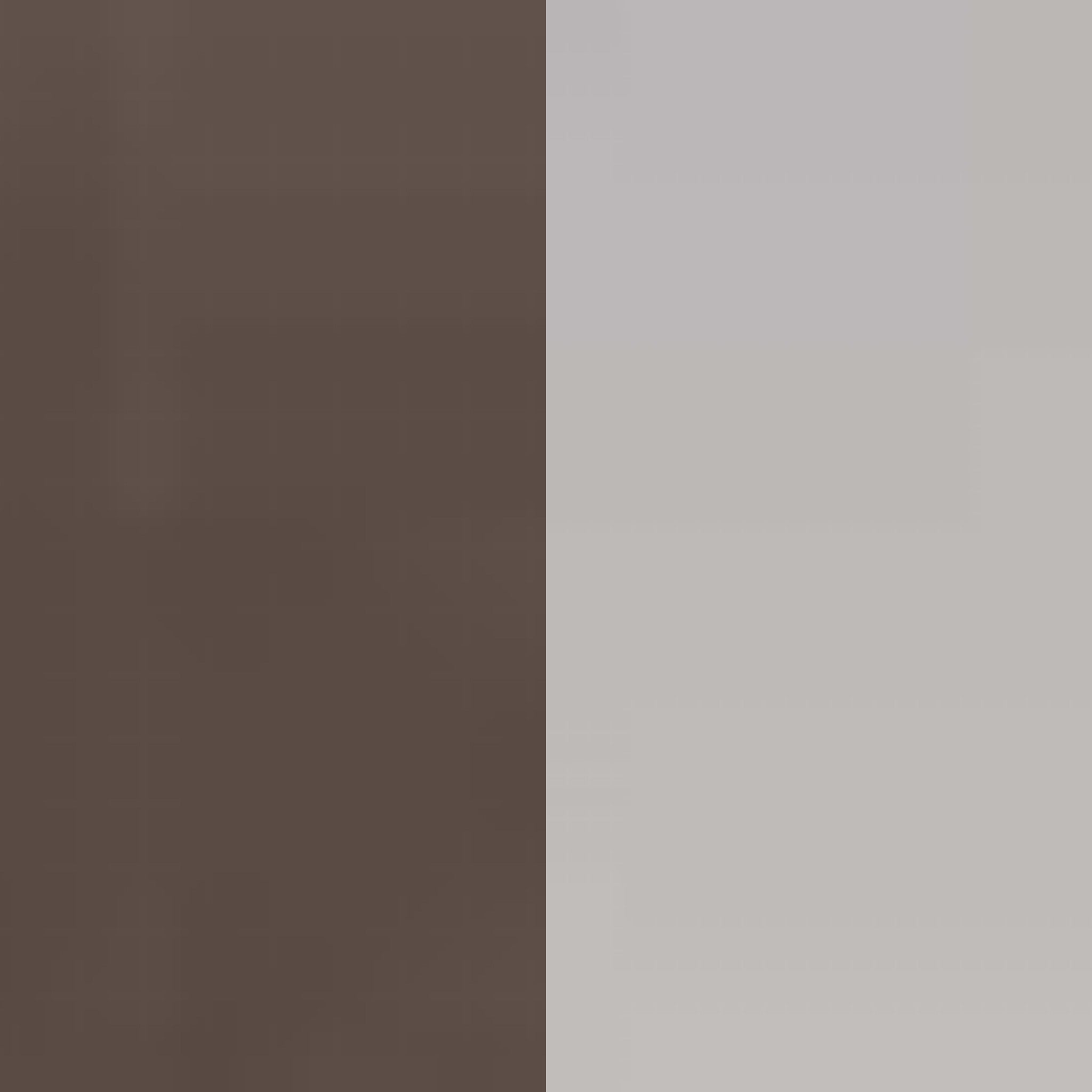 bronze/smoke