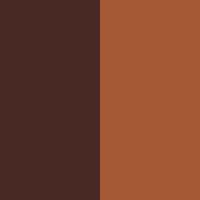 chocolate/ginger
