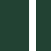 forest / white pipe