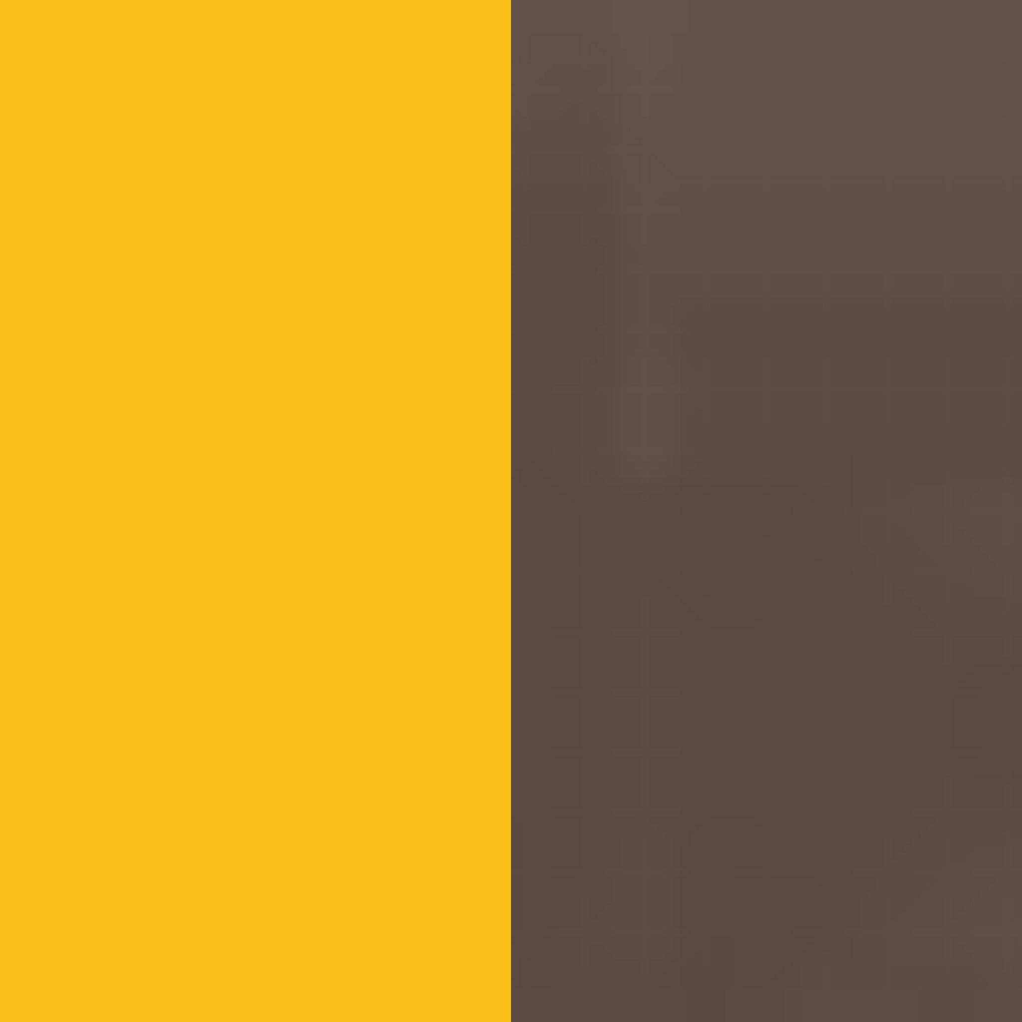gold/bronze
