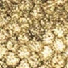 gold snake
