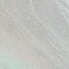 hologram silver