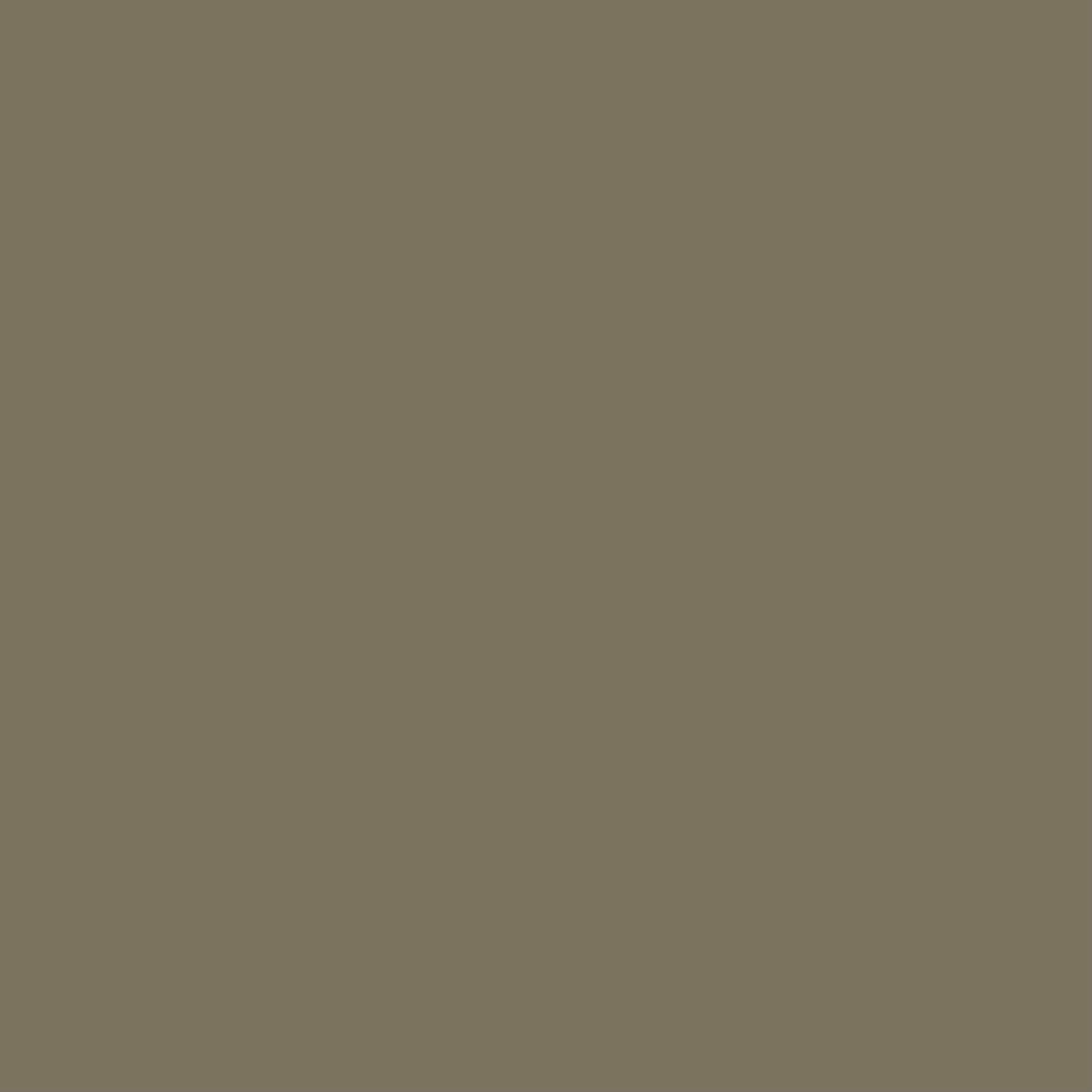 lieutenant