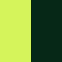 neon yellow/forest