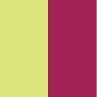 neon yellow/plum