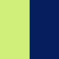 neon yellow/royal