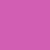 pink carnation