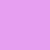 pink orchid