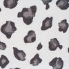 snow leopard