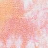 sunset punch tie dye