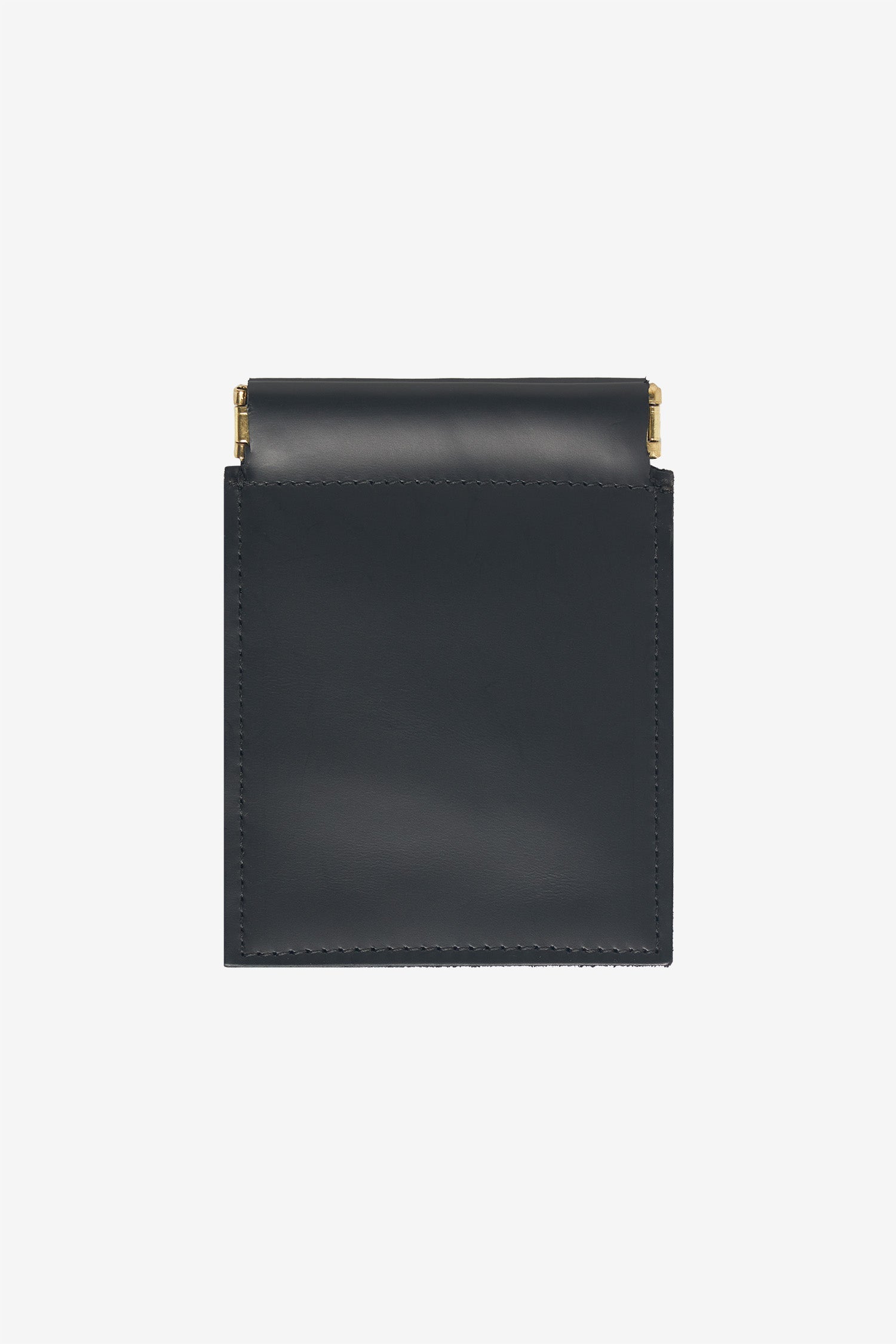 Shiny Black