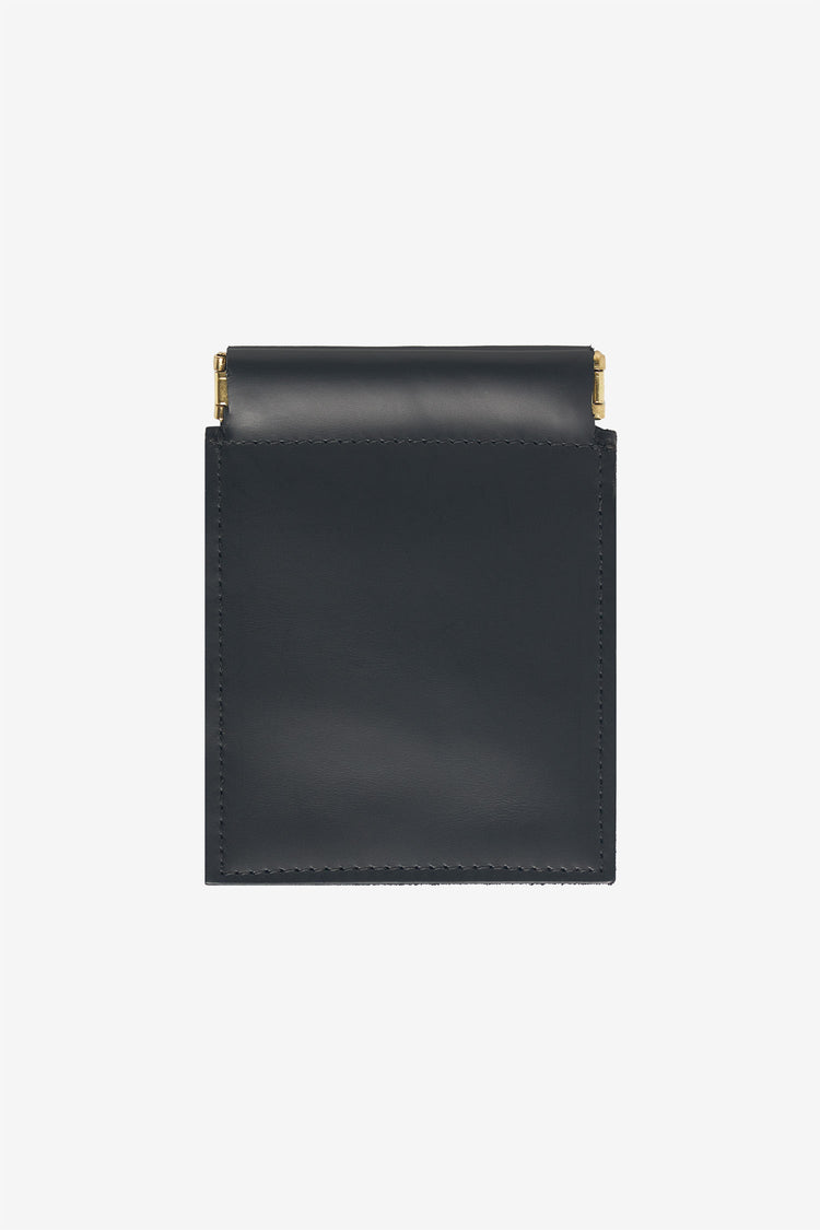 Shiny Black