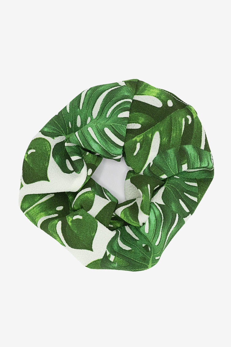 Monstera Leaf