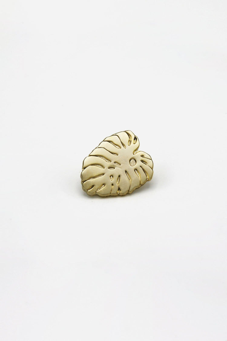 Monstera Leaf